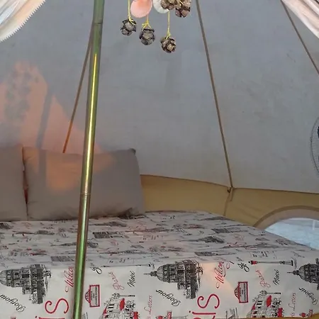 Glamour Camping Paradise 럭셔리텐트 *